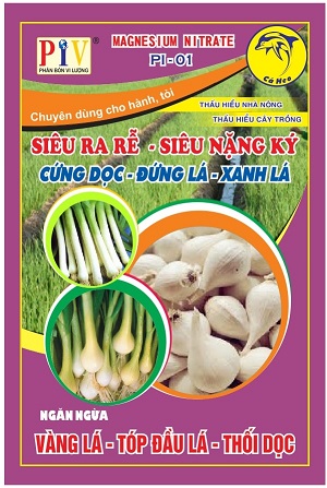 Phân bón cho hành tỏi